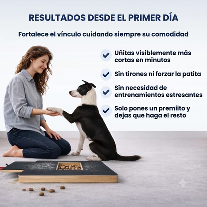 Pawzum™ | Perritos sin miedo - Rascador de uñas